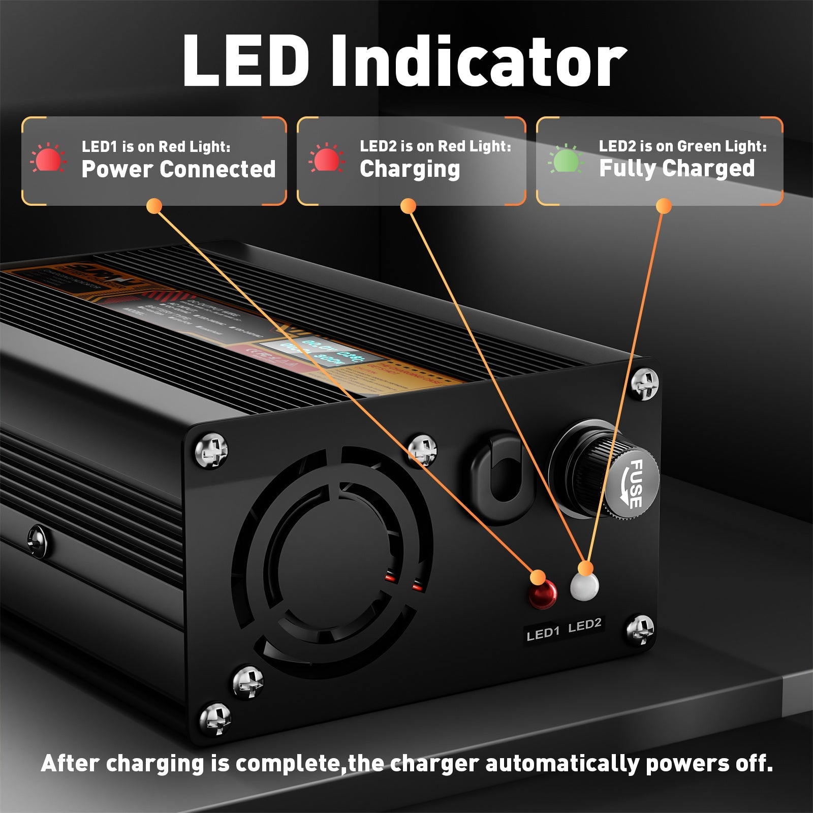Suraziki LiFePO4 43.8V 5A Battery Charger for 36V/38.4V Lithium Iron Phosphate Batteries, LED Display, Full Protection